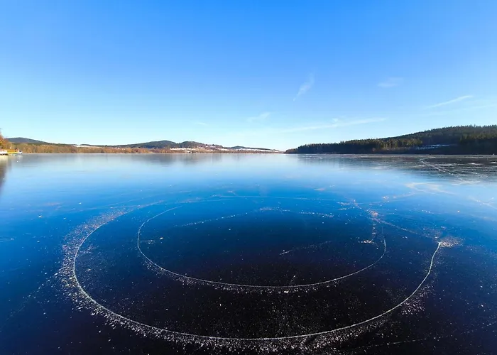 Ξενοδοχείο με διαμερίσματα Lipno-hory Horní Planá